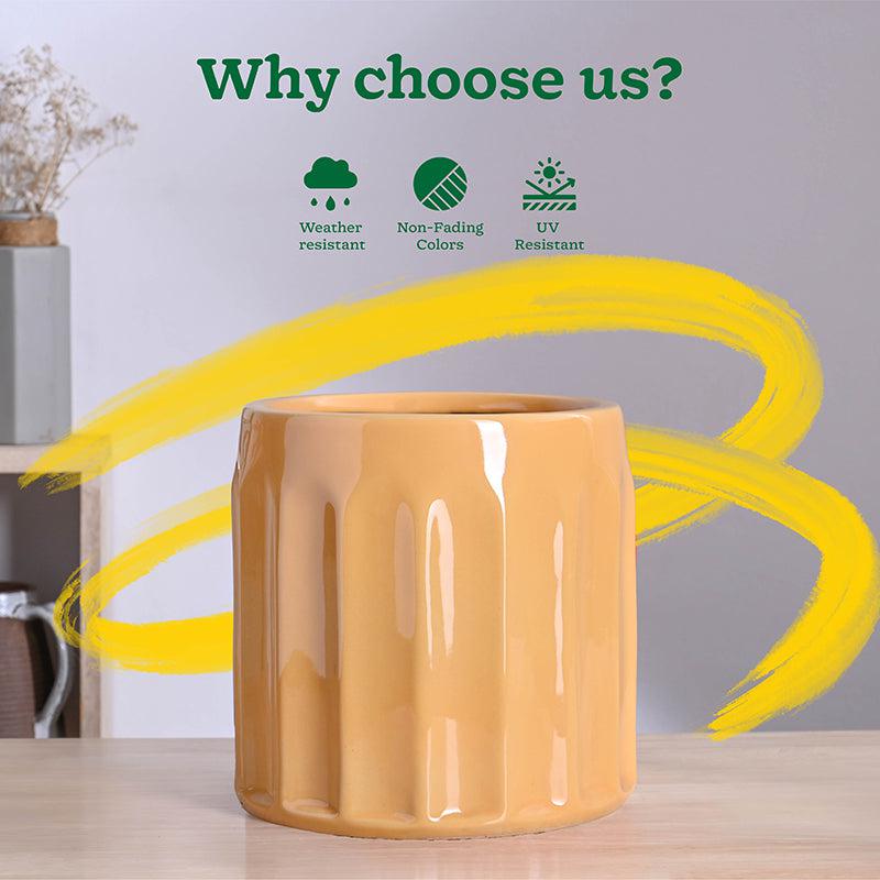 Ugaoo Straits Ceramic Planter - Yellow media 7