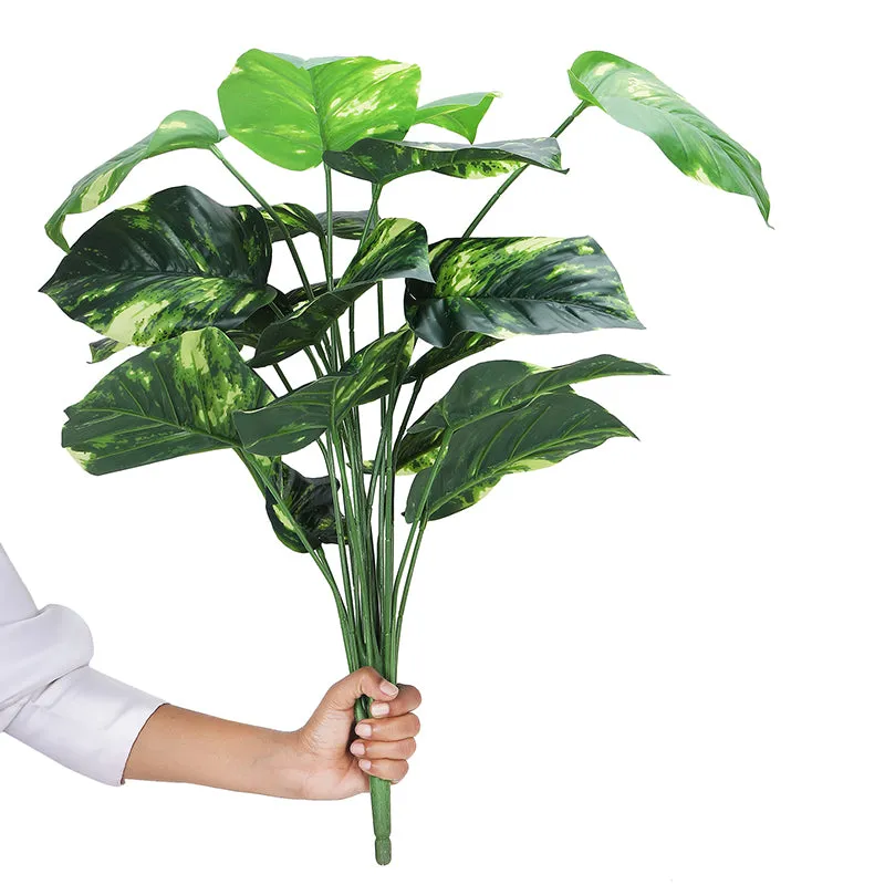 Botanika Artificial Money Plant I With Black Plastic Pot & pebbles - 2 Feet media 4