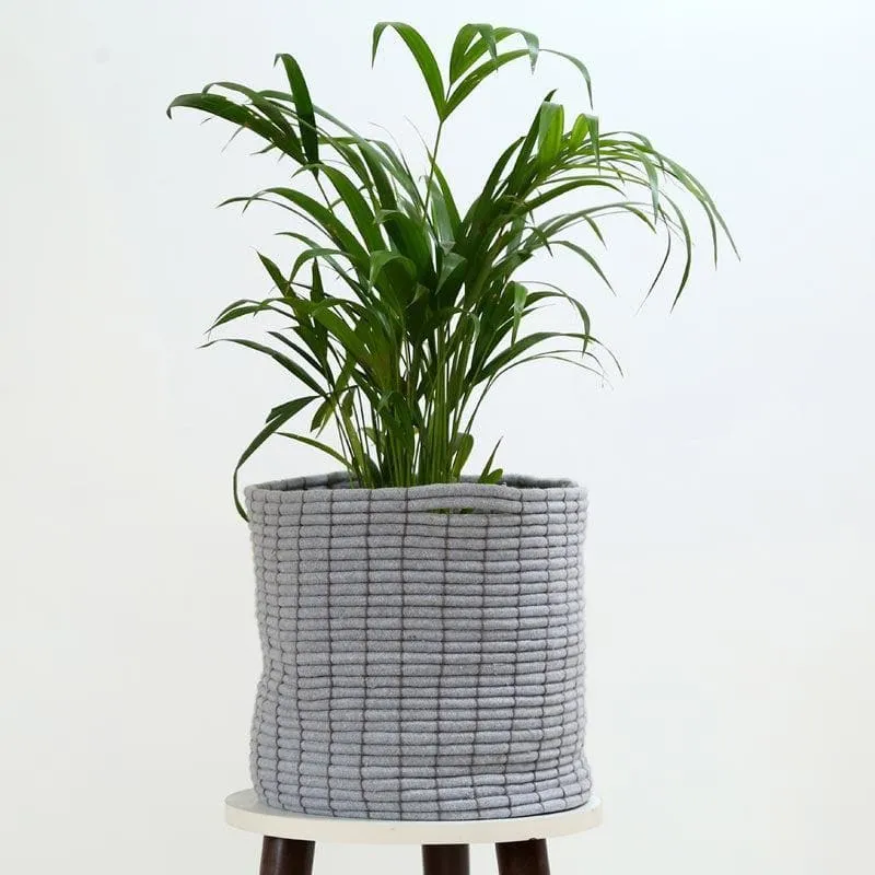 Coastal Escape Cotton Planter media 3
