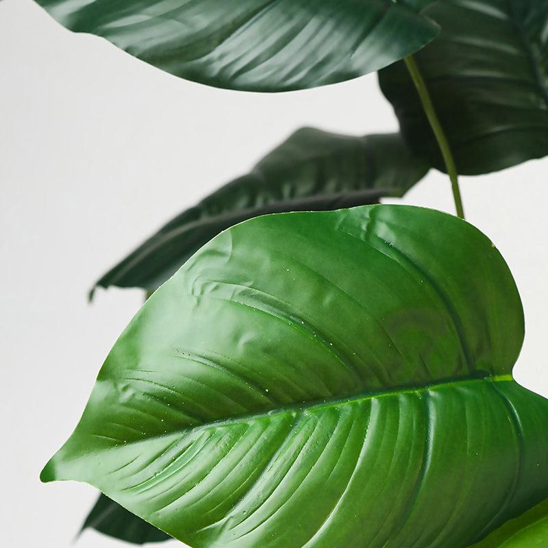 Faux Everlasting Congo Philodendron Plant With Black Plastic Pot - 58 cm media 4