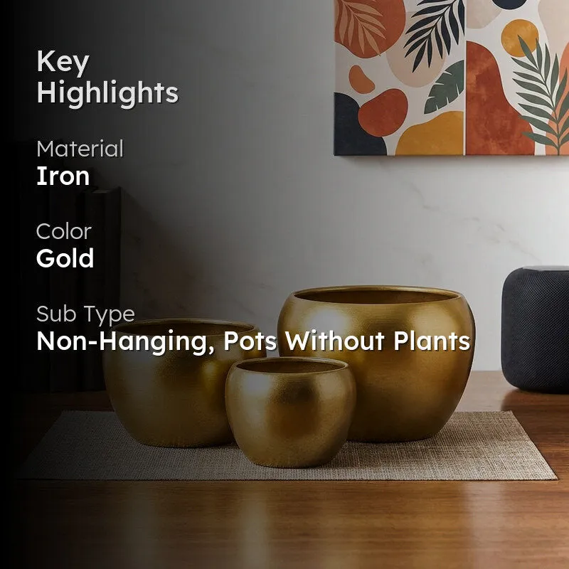 Applo Pine Planter (Gold) - Set Of Three media 2