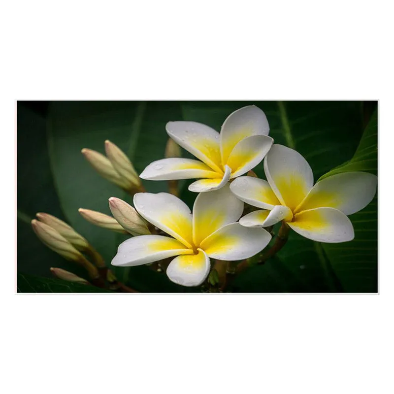 Alsonia Wonder Floral Canvas Wall Painting media 3
