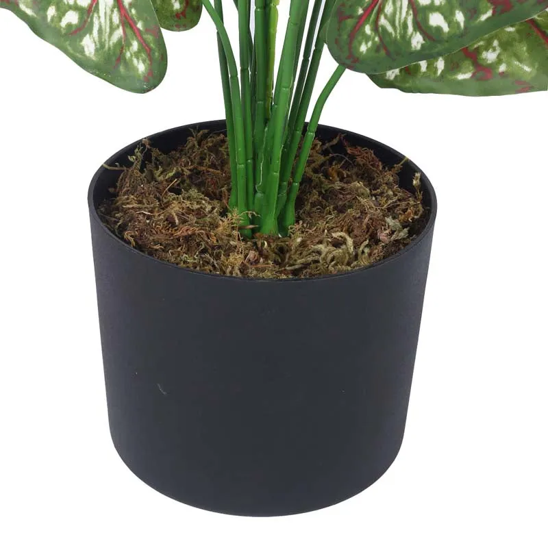 Faux Lush Caladium Plant With Black Plastic Pot - 2.3 Feet media 6