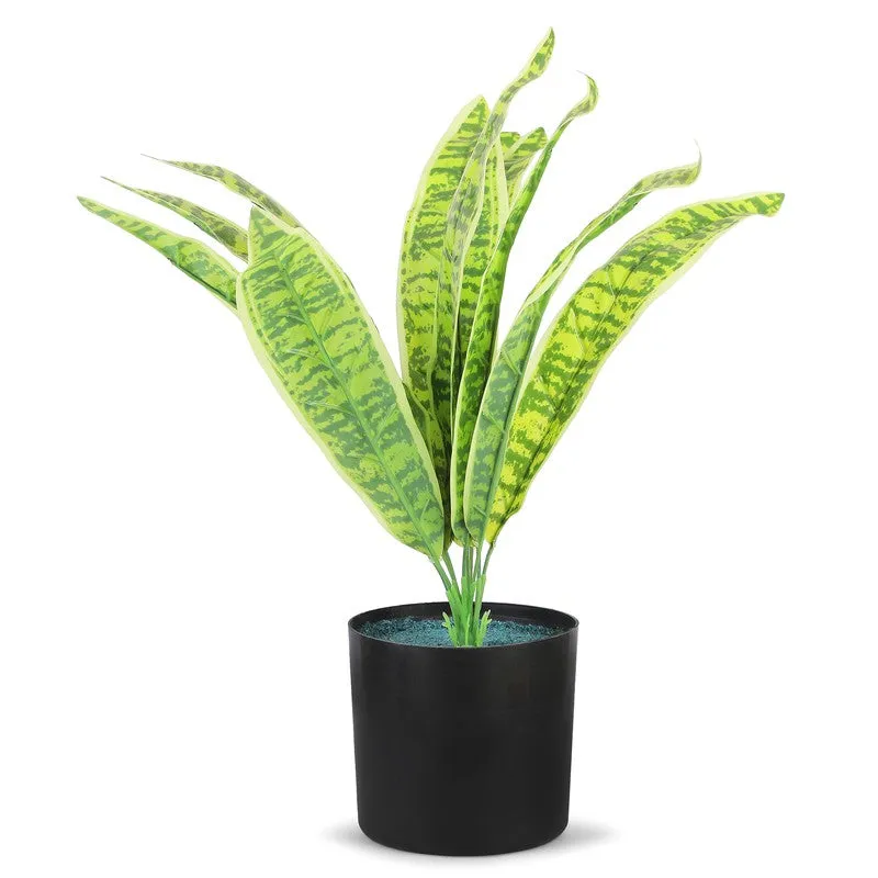Neonix Snake Artificial Plant With Plastic Pot - 1.4 Feet media 3