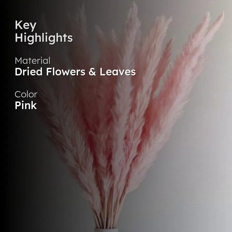 Mini Naturally Dried Pampas Stems (Pink) - Set Of Ten media 2