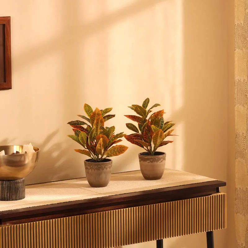 Artificial Garden Croton Plant With Black Plastic Pot (Set Of Two) - 1 Feet media 1