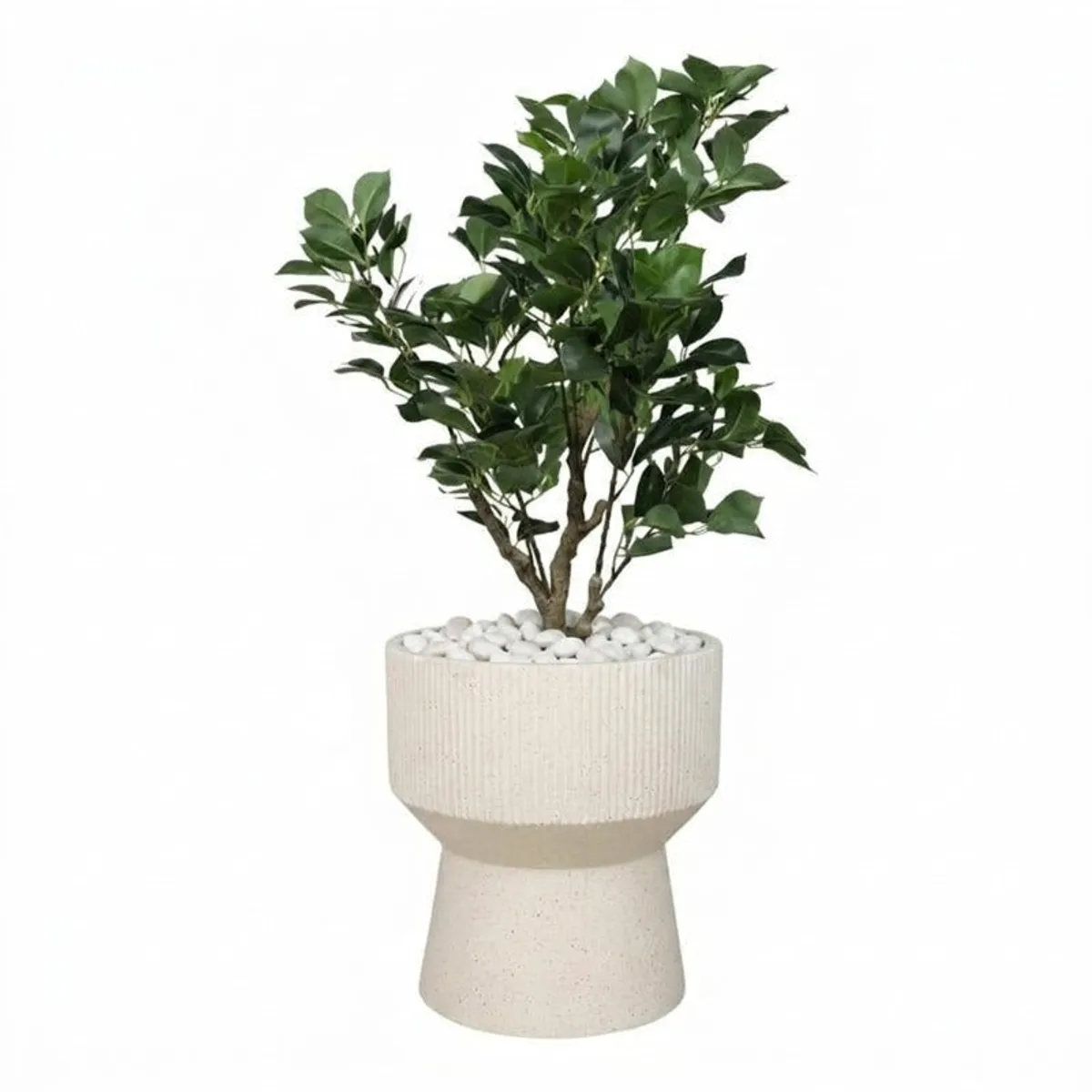 Off-white floor planter with a leafy plant shown against a white background.