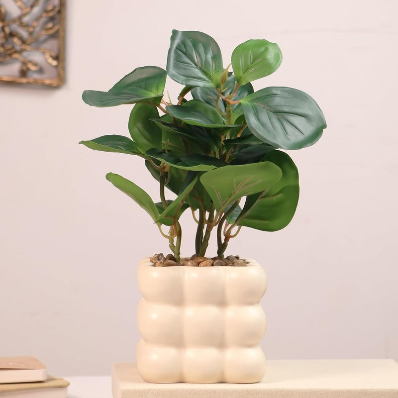 Ceramic