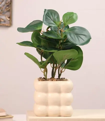 Ceramic