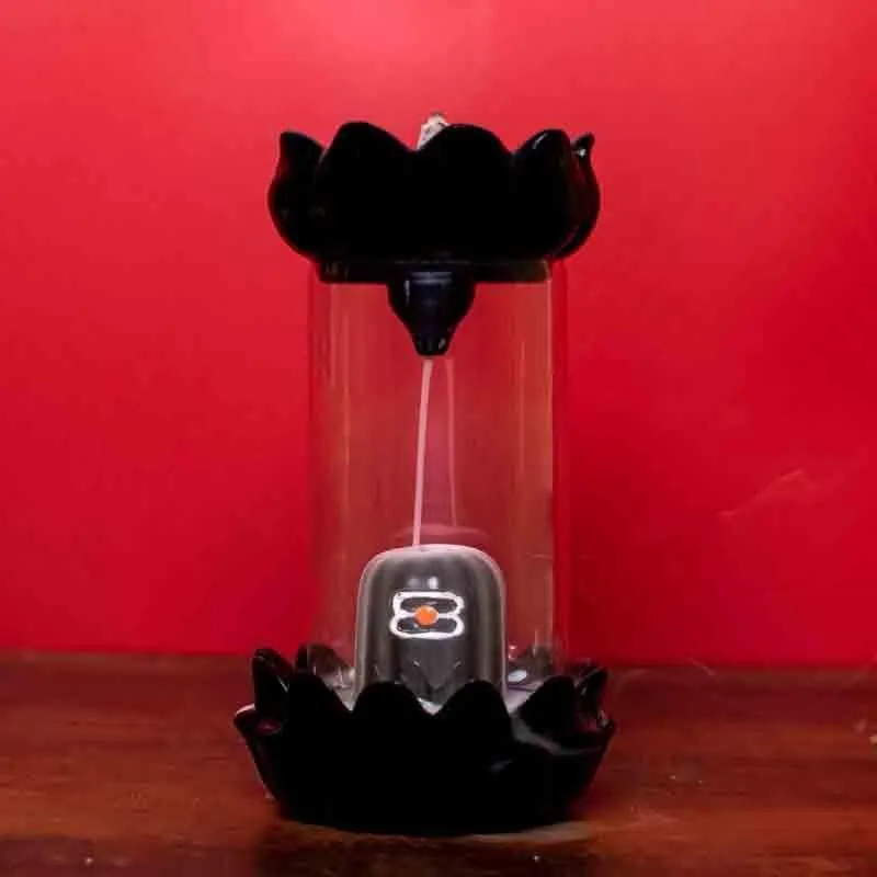 Shivling Backflow Smoke Fountain media 4