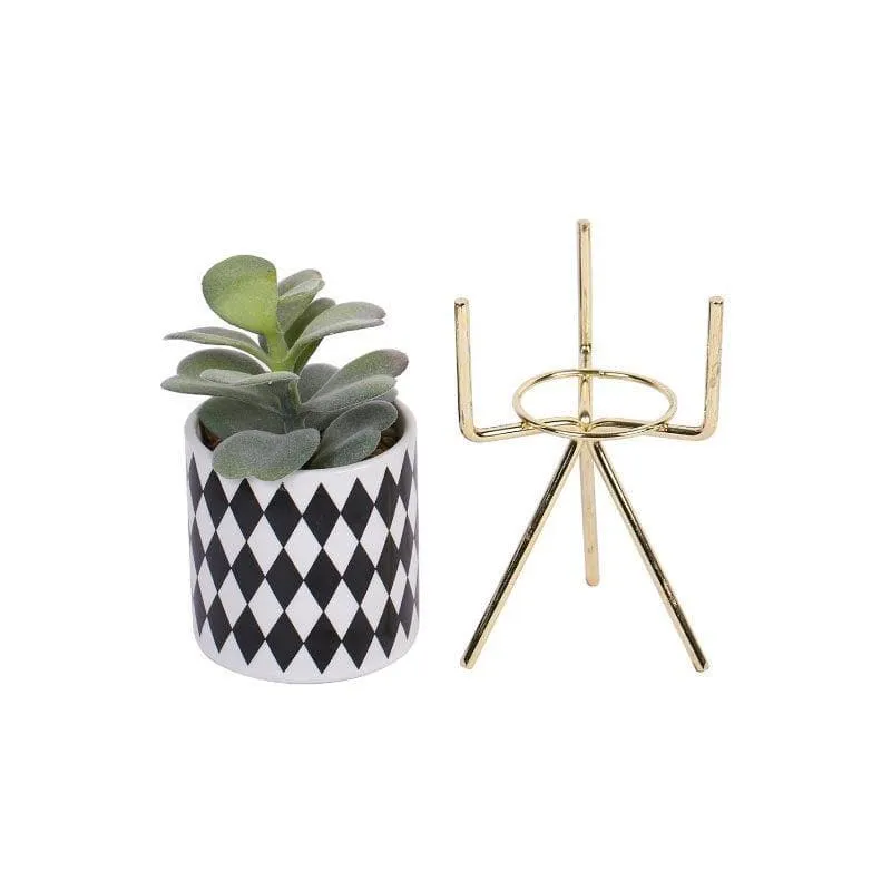 Faux Succulent In Checkered Pot With Tripod - 20 cms media 4