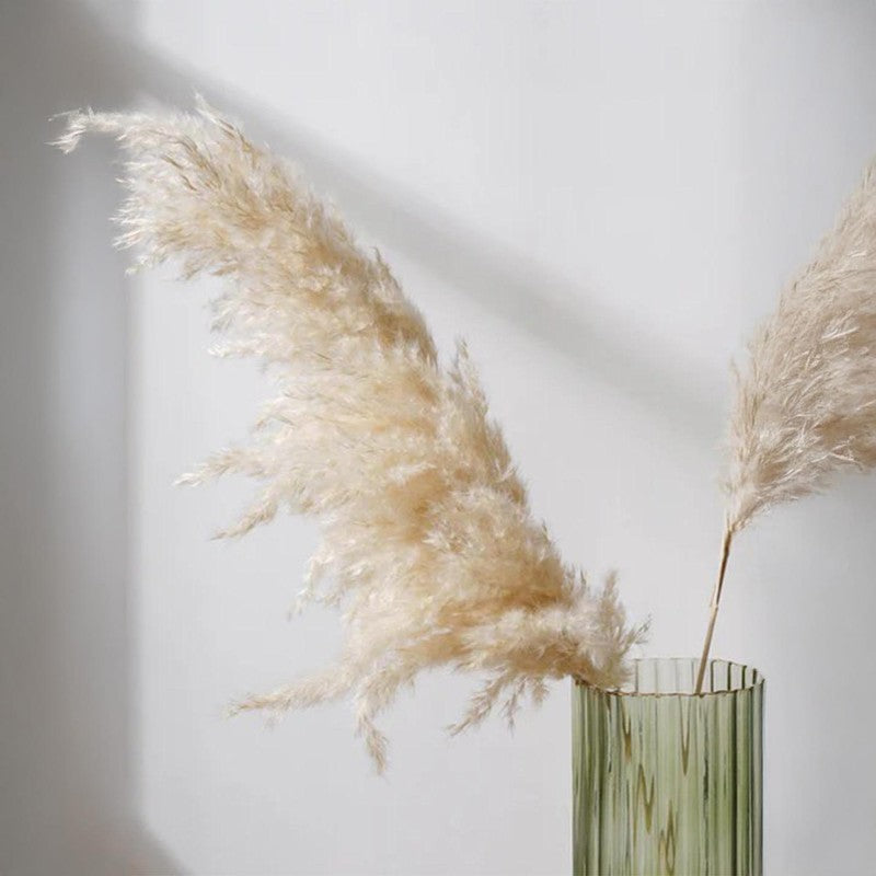Savannah Artificial Pampas Stem (Off White) - Set Of Four media 6