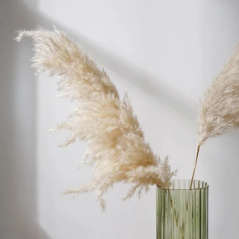 Savannah Artificial Pampas Stem (Off White) - Set Of Four media 6
