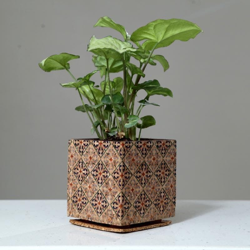 Wooden Cork Dreamy Planter media 4
