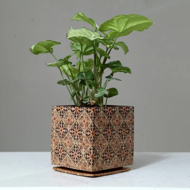 Wooden Cork Dreamy Planter media 4