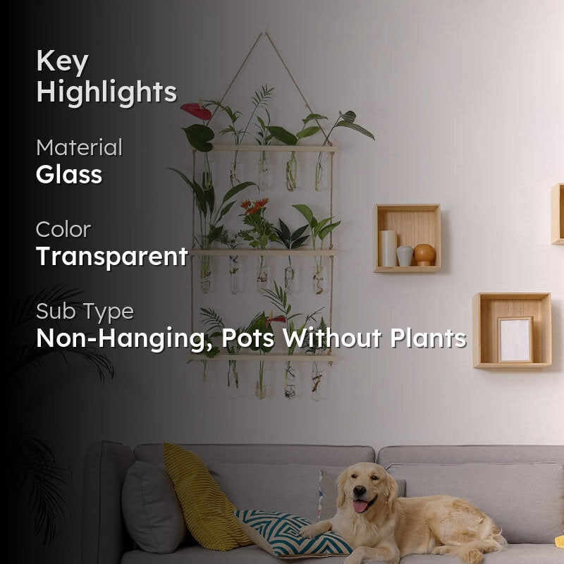 Arana Hanging Test Tube Planter media 2