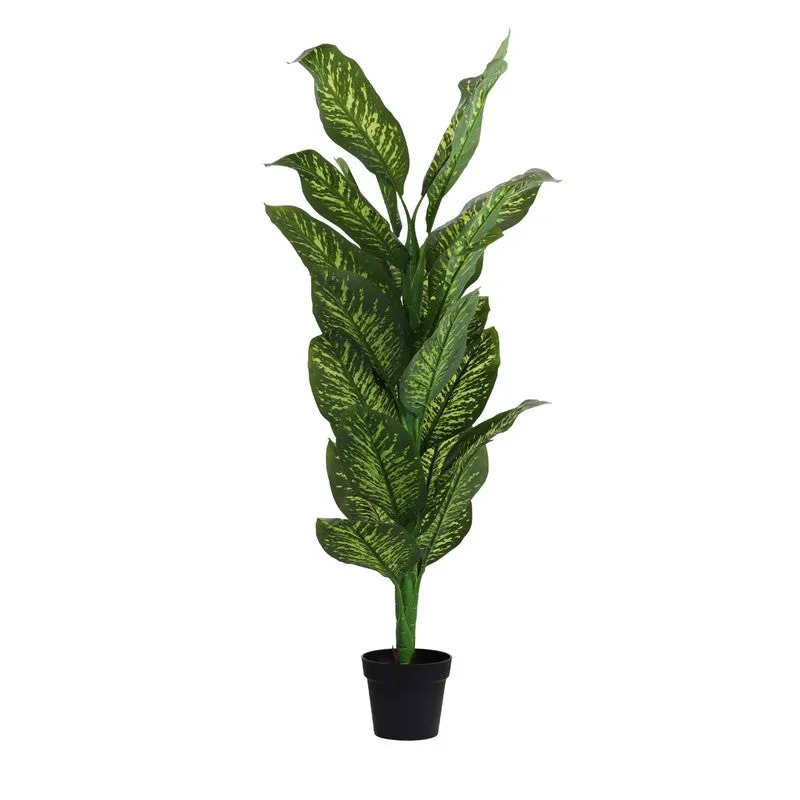 Artificial Dieffenbachia Plant With Black Plastic Pot 5.5 ft media 3
