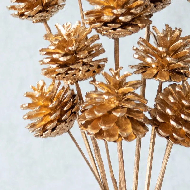 Enoira Dried Pine Cone Stick (Gold) -Set Of Ten media 3
