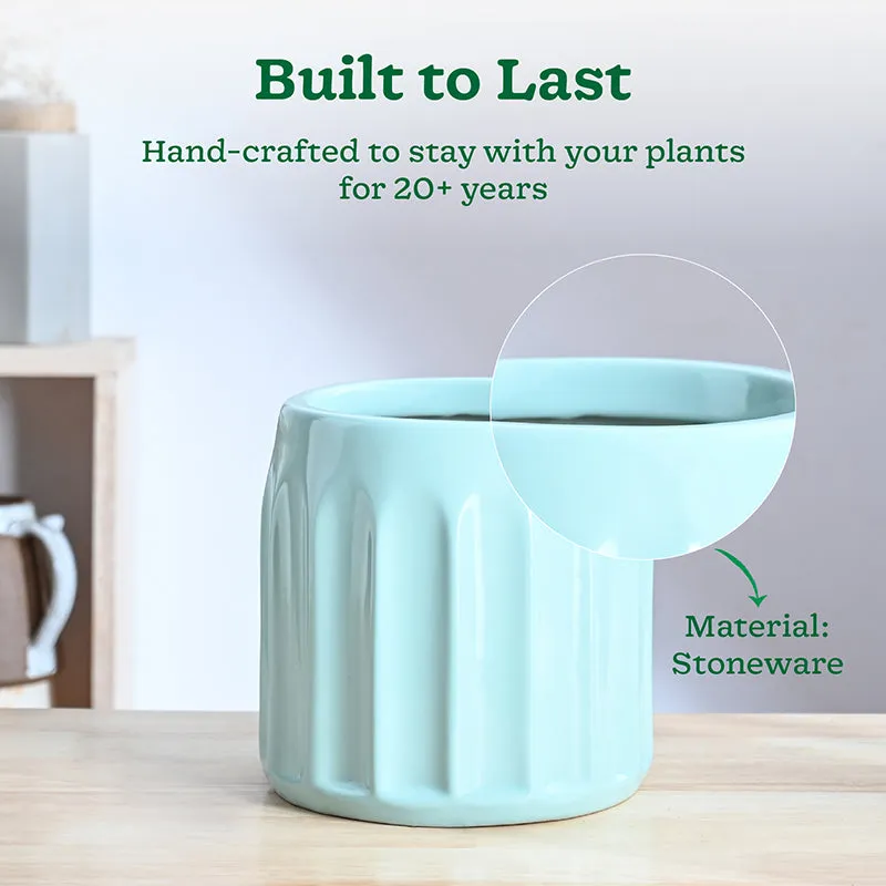 Ugaoo Straits Ceramic Planter - Light Blue - 3