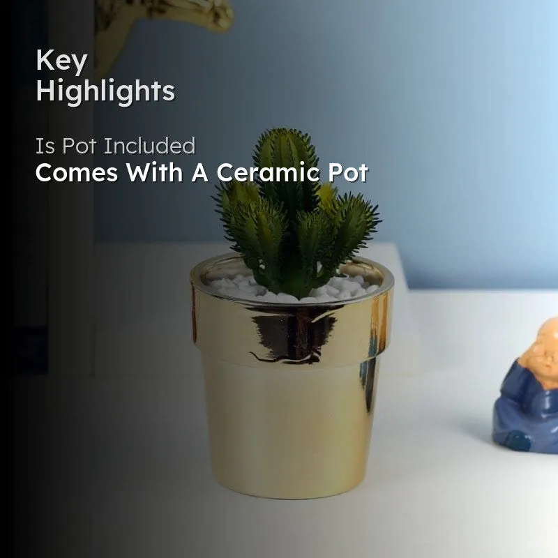 Faux Cacti In Ceramic Pot - 19 cms media 2