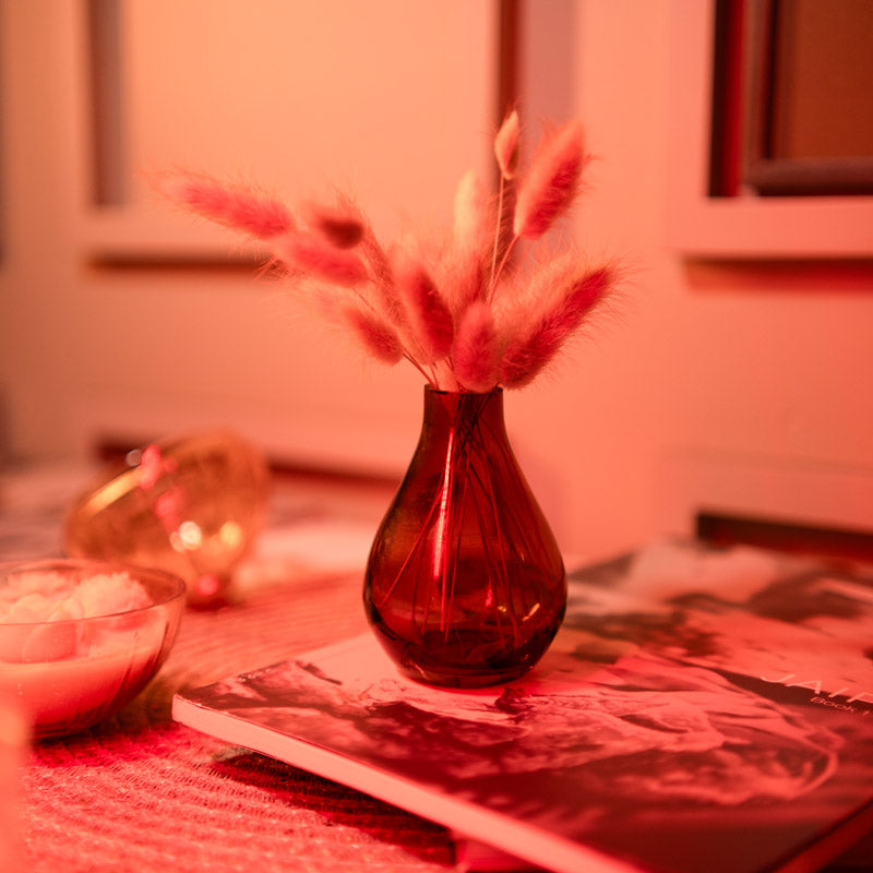 Elegant Glass Vase with Dried Flowers Bunch media 3