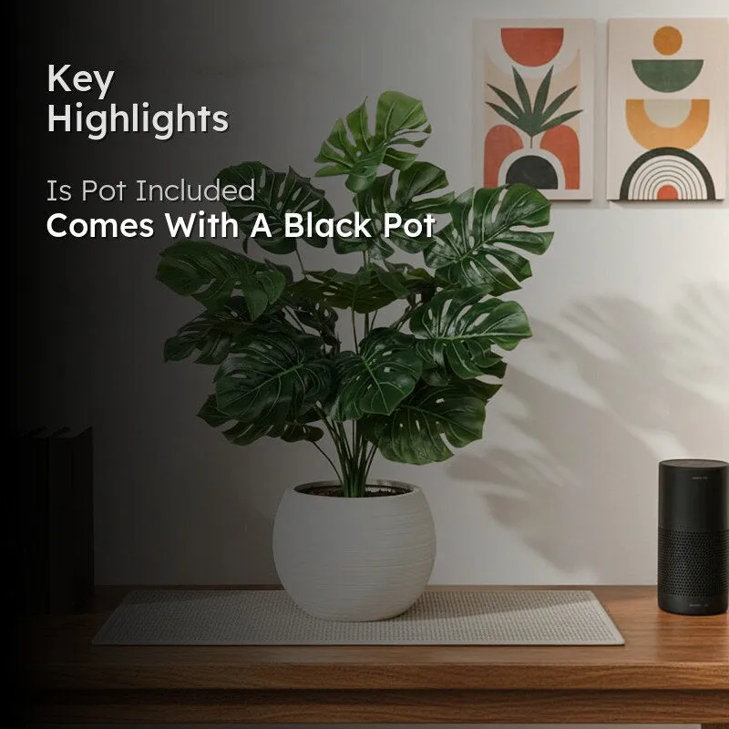 Faux Lush Monstera Plant With Black Plastic Pot - 2.3 Feet media 2