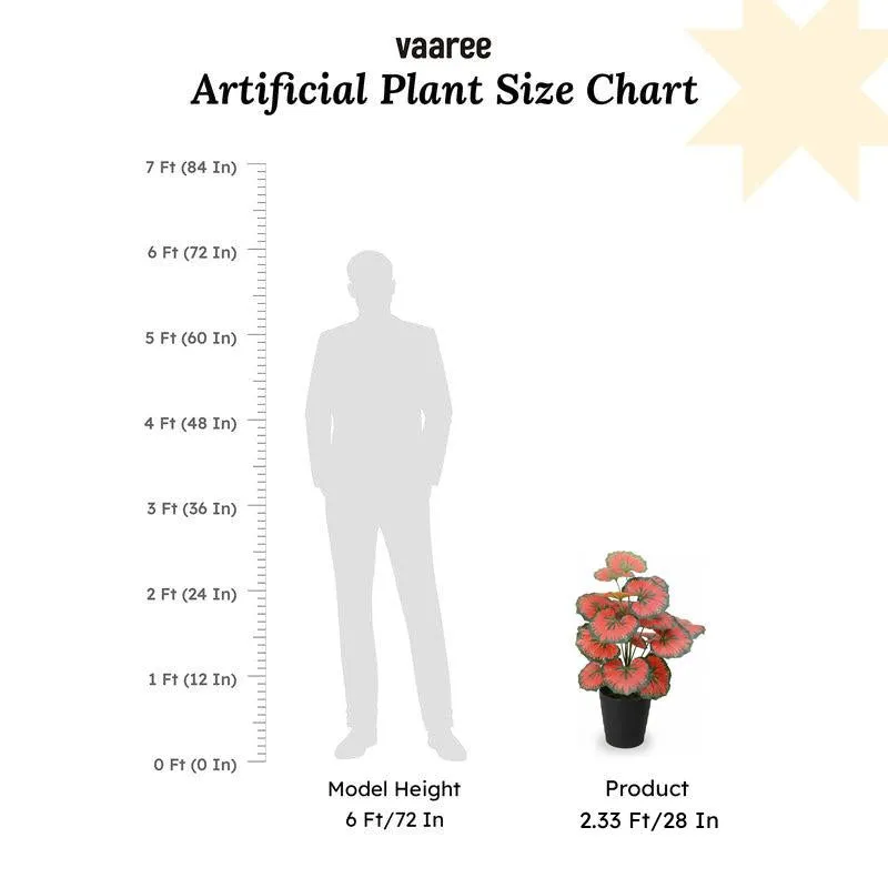 GreenGlow Begonia Artificial Plant Without Pot - 2.3 Feet media 6