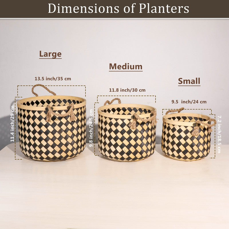 Florenza Bamboo Planters - Set Of Three media 8