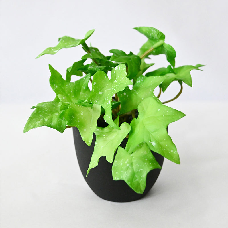 Ivella Artificial Mini Ivy Plant With Basic Black Plastic Pot (Light Green) - 14 cm media 4