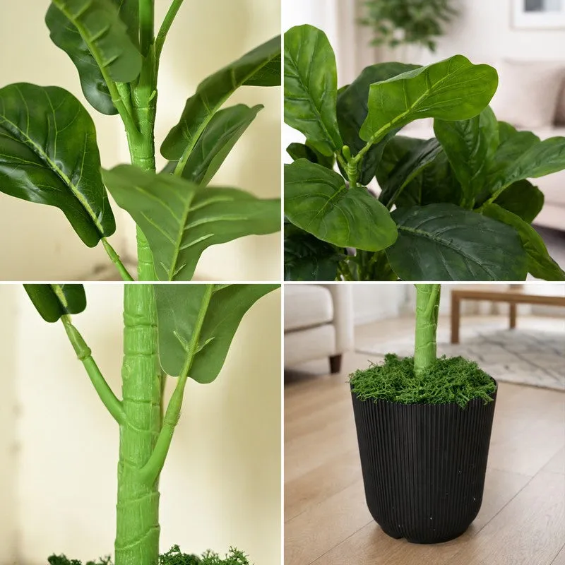 Leaf Aura Fiddle Artificial Plant With Black Plastic Pot - 89 cm (2.9 ft) media 4