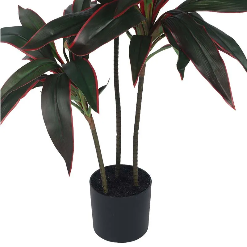 Faux Lush Dracaena Reflexa Plant With Black Plastic Pot - 3.1 Feet media 5