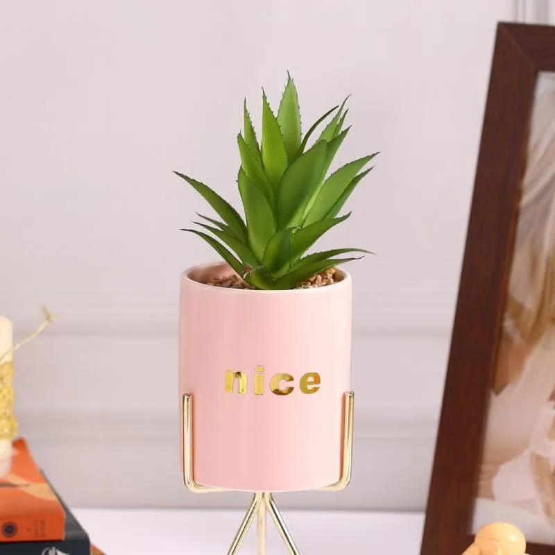 Faux Aloe Vera In Pink Pot With Tripod - 27 cms media 3