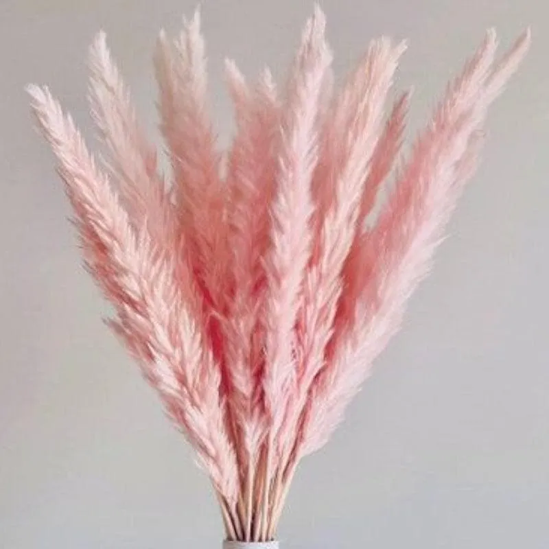 Mini Naturally Dried Pampas Stems (Pink) - Set Of Ten media 1
