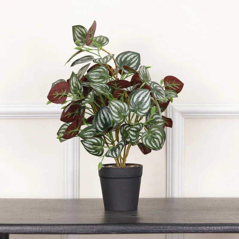 Artificial Red Peperomia Leaf Plant With Black Fiber Pot - 1 Feet media 4