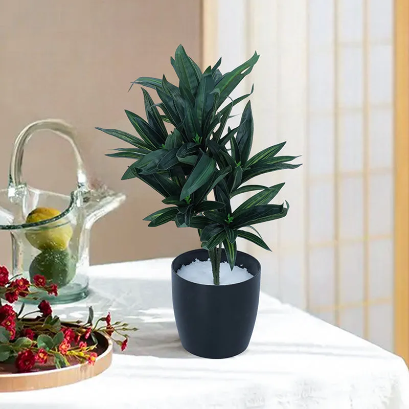 Edena Artificial Dracaena Plant With Black Plastic Pot - 1.3 Feet media 2