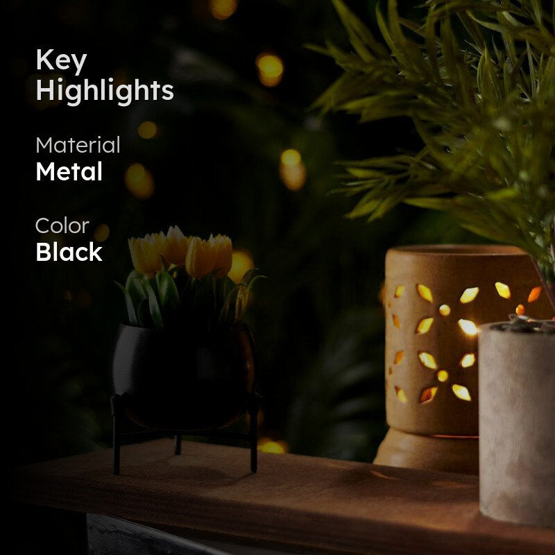 Eukene Metal Planter - Black media 2