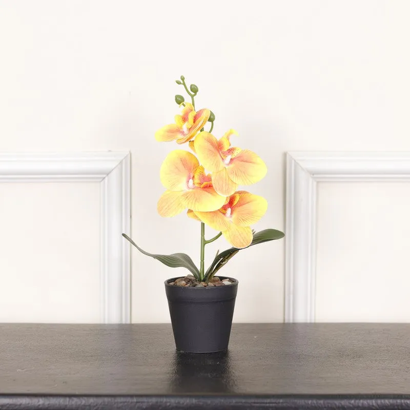 Artificial Orchid Flower Plant With Fiber Pot (Yellow) - 1 Feet media 1