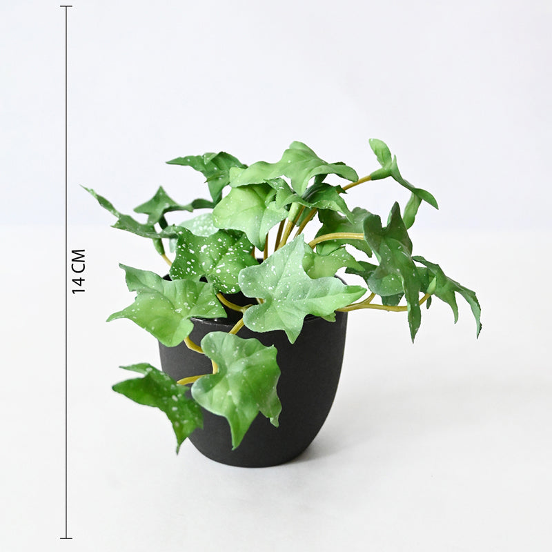 Ivella Artificial Mini Ivy Plant With Basic Black Plastic Pot (Green) - 14 cm media 8