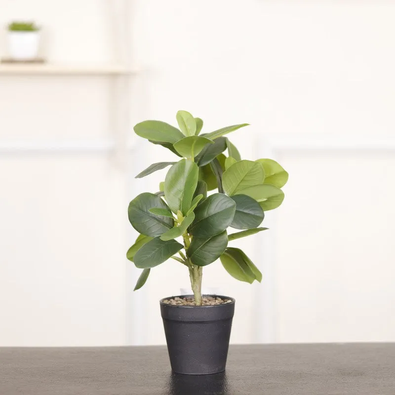 Artificial Green Natural Lookingquercus Leaf Plant With Black Fiber Pot - 1.2 Feet media 3