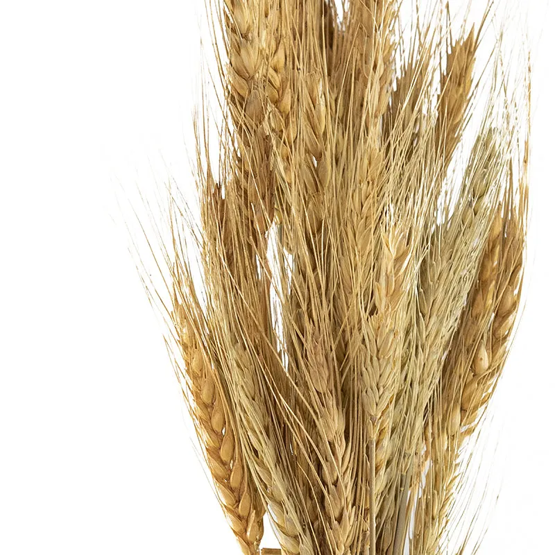 Yinira Naturally Dried Wheat Grass media 3