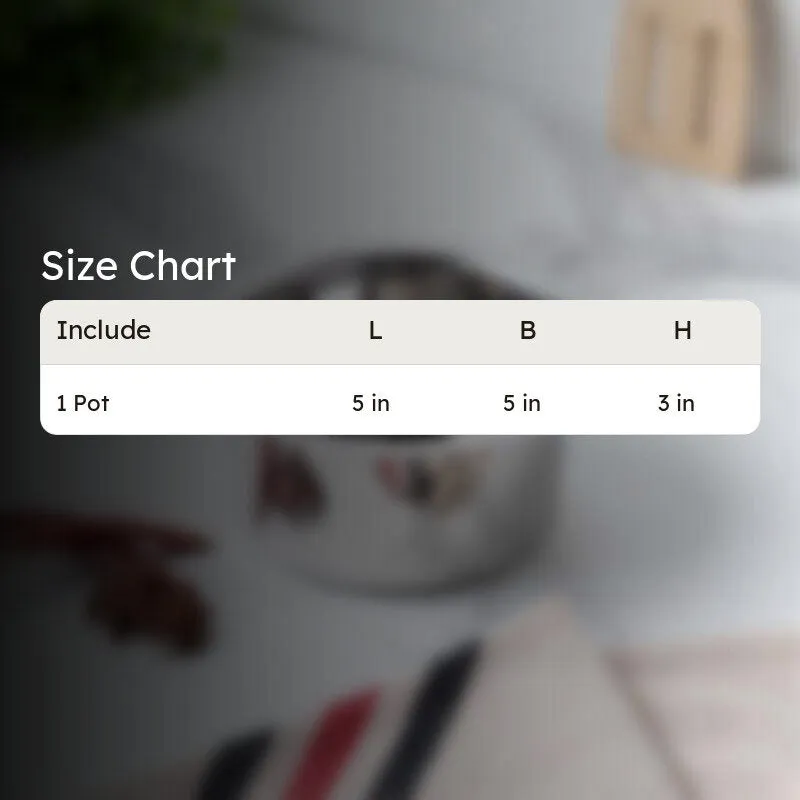 Silver Pateela shown with a size chart