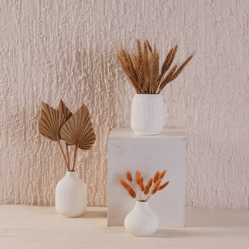 Bisto Vase -Set Of Three media 3