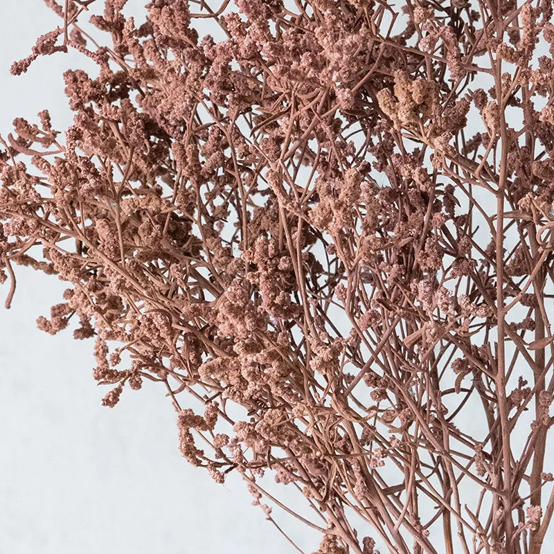 Ariel Dried Statice Flower Bunch - Rustic Pink media 3