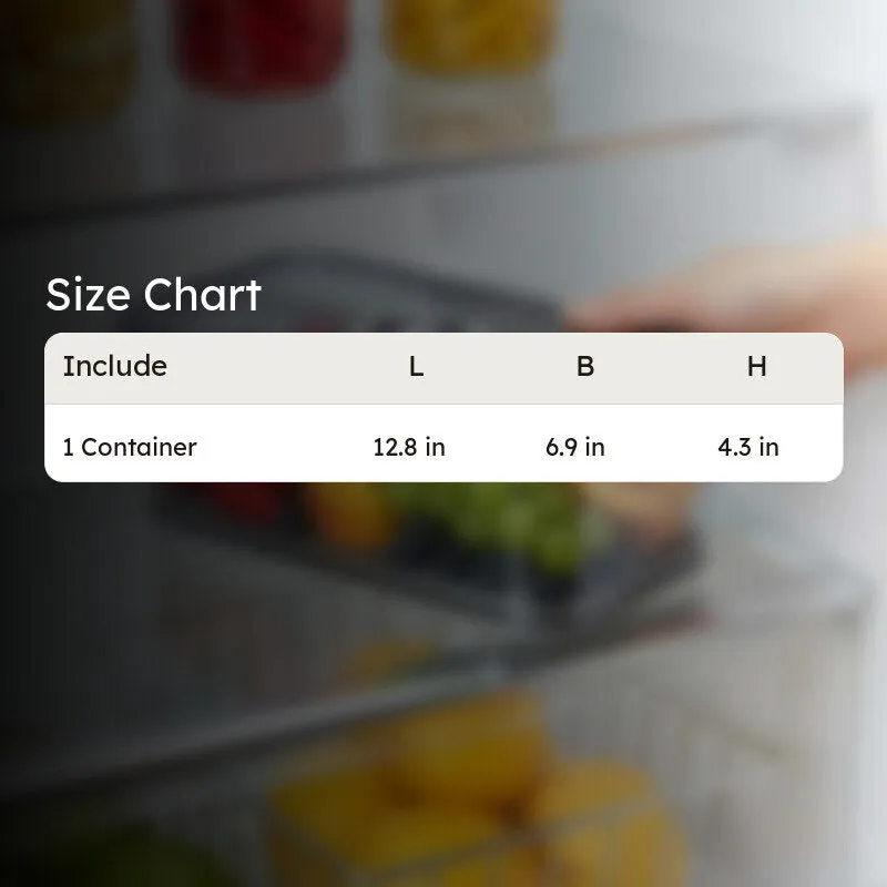 Freshsta Fridge Container (4000 mL)  - Transparent & Grey media 10