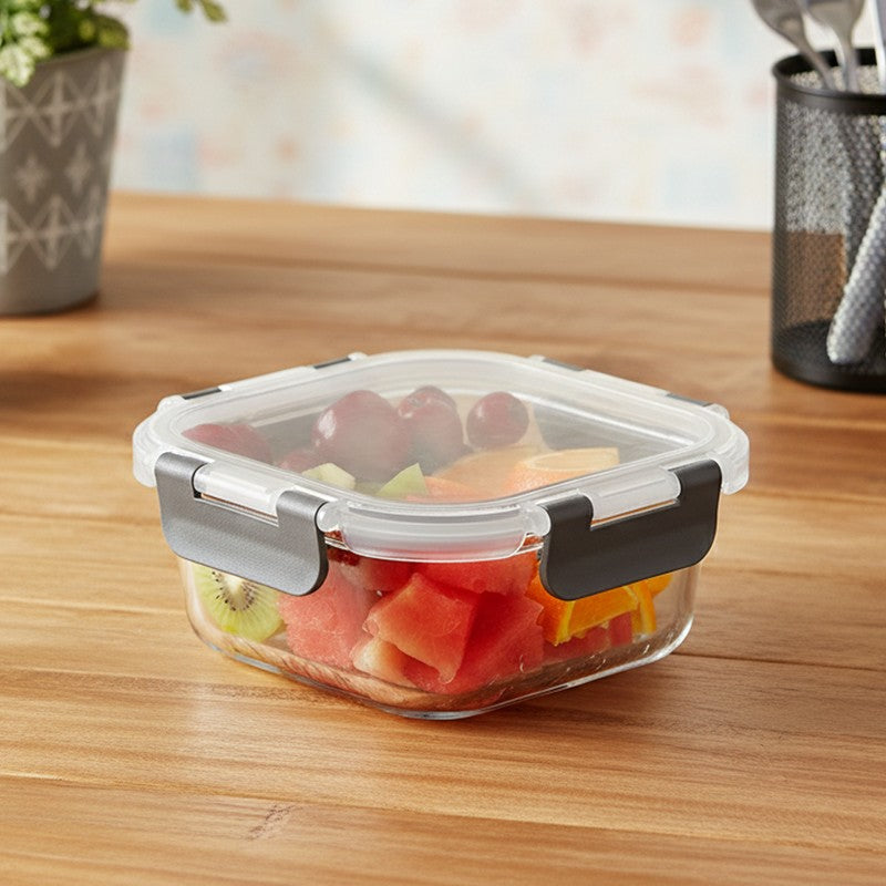 Nexa Carry Lunch Box - 520 ML