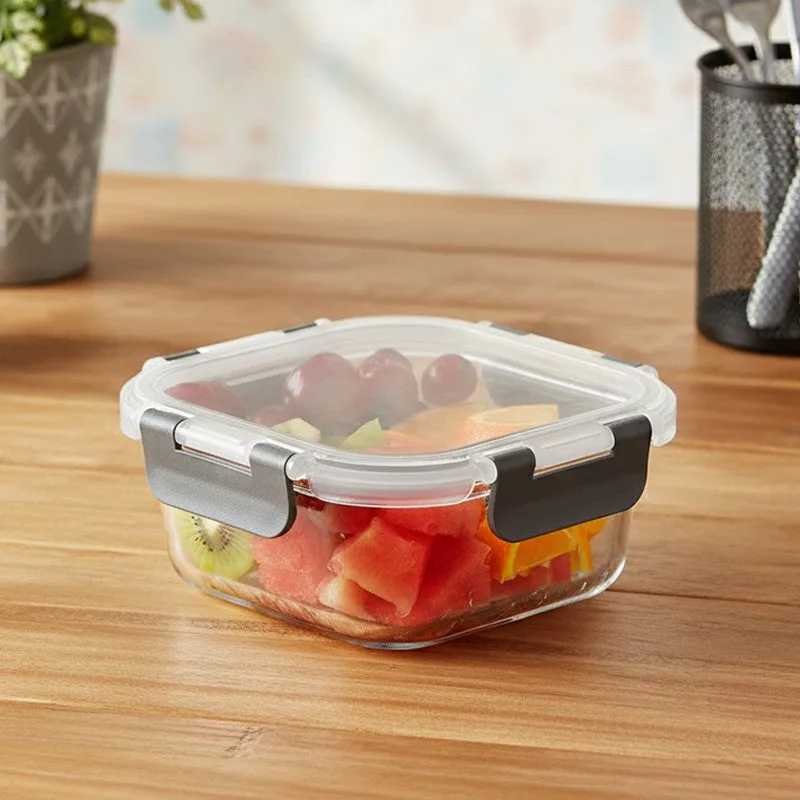 Nexa Carry Lunch Box - 520 ML media 1