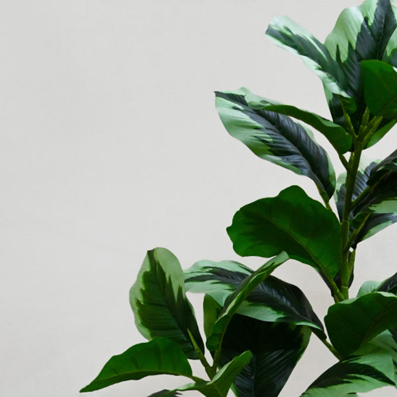 Faux Everlasting Fiddle Fig Plant With Black Plastic Pot - 95 cm (3.1 ft) media 5