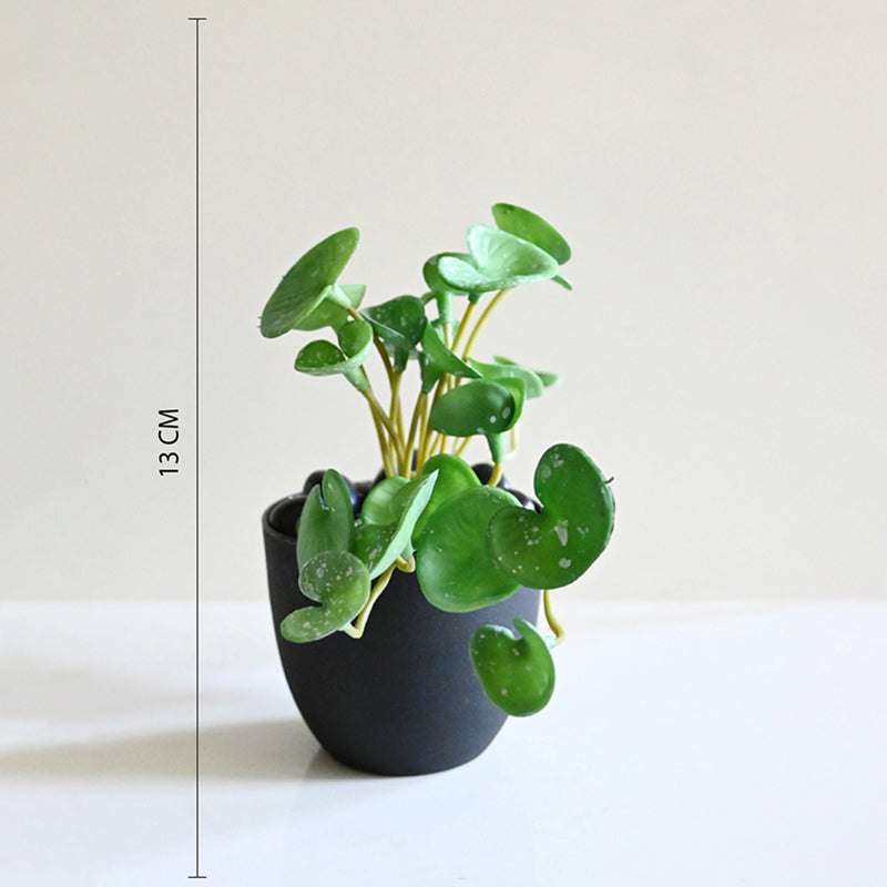 Pennelle Artificial Leaf Pennywort With Black Plastic Pot (Green) - 13 cm media 6