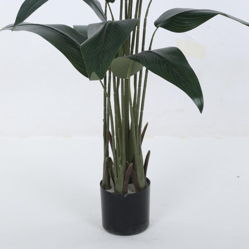 Artificial Bird Of Paradise Plant With Basic Black Plastic Pot - 4.9 ft media 5