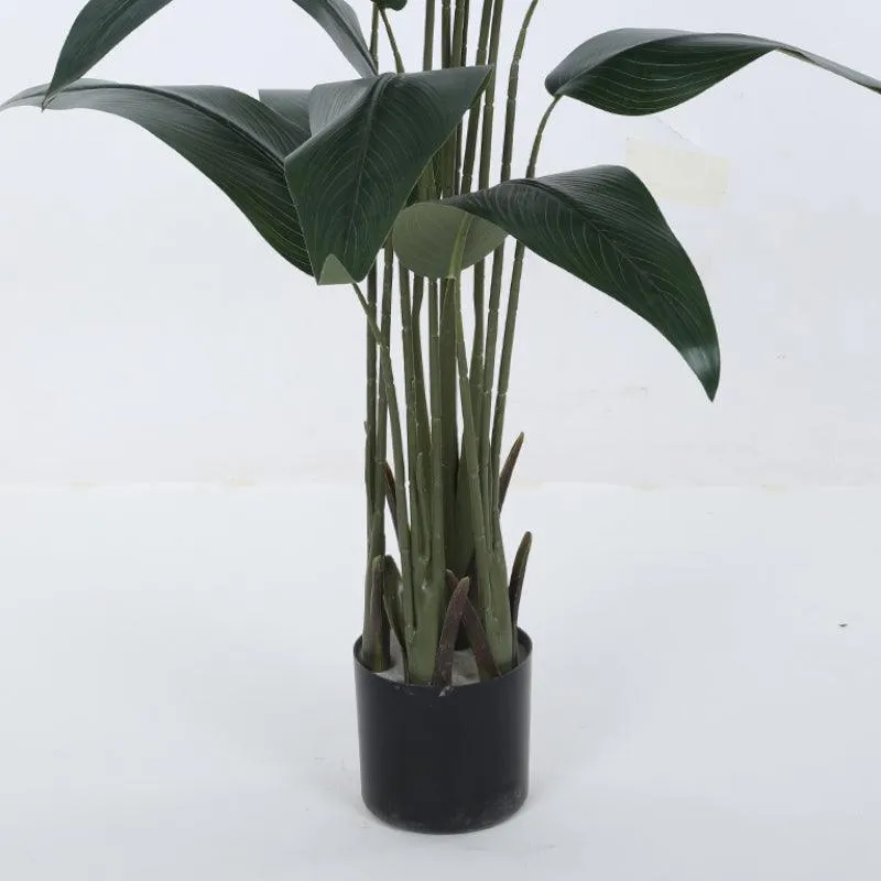 Artificial Bird Of Paradise Plant With Basic Black Plastic Pot - 4.9 ft media 5